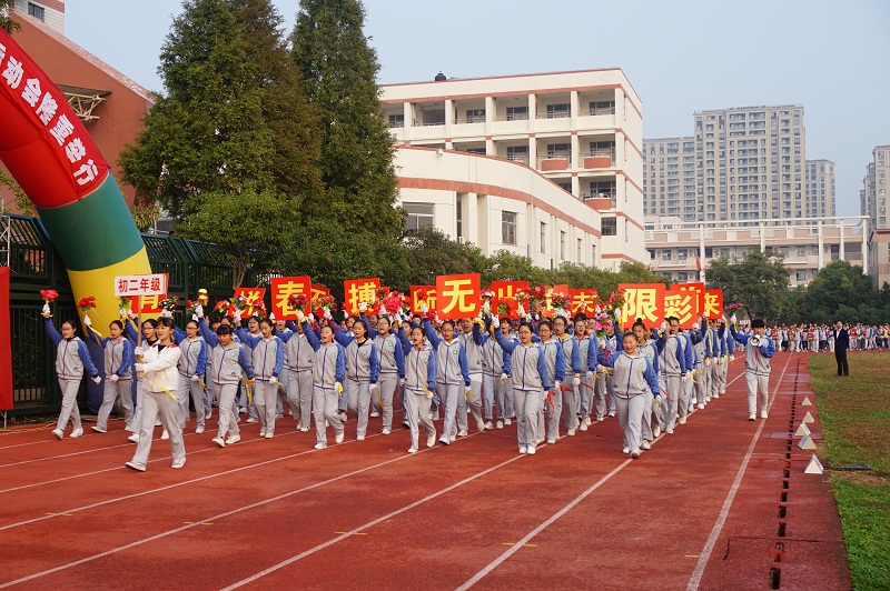 运动赛场展雄姿 体育健儿竞风流
