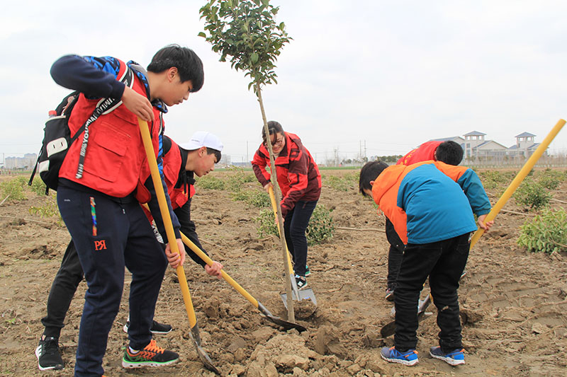 我校师生积极参加志愿植树行动