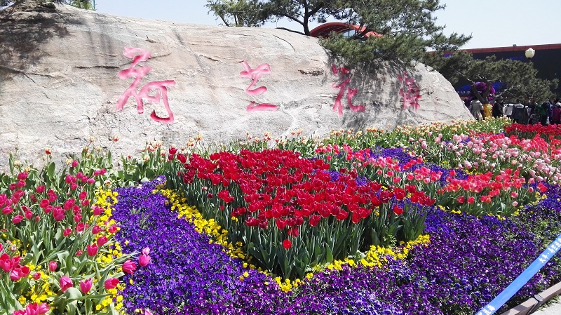 踏青旅游，领略大好春光