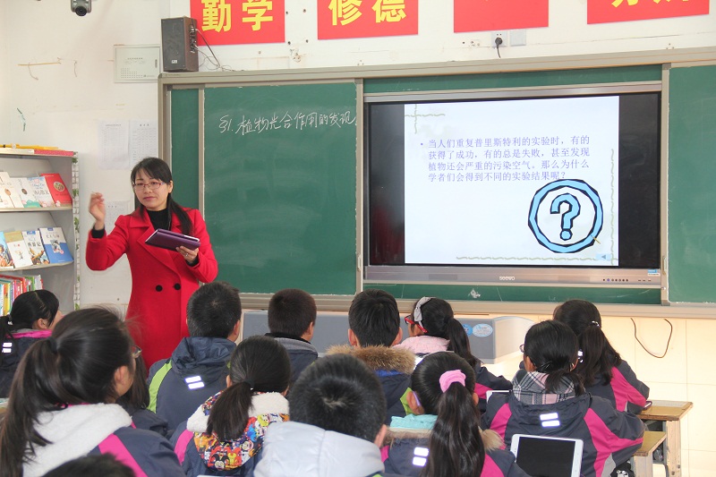 创造适合成长的教育