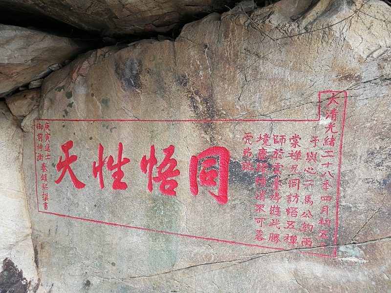 我校工会组织教职工开展野外拓展活动