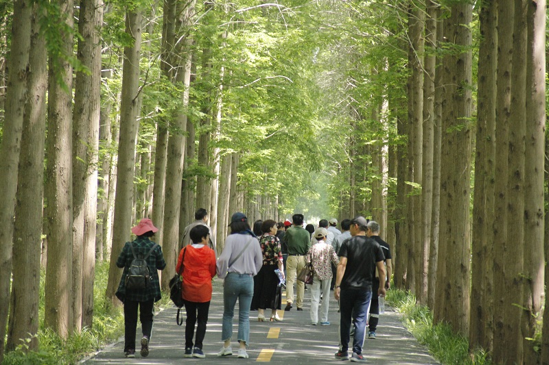 我校组织退休教师美丽家乡行