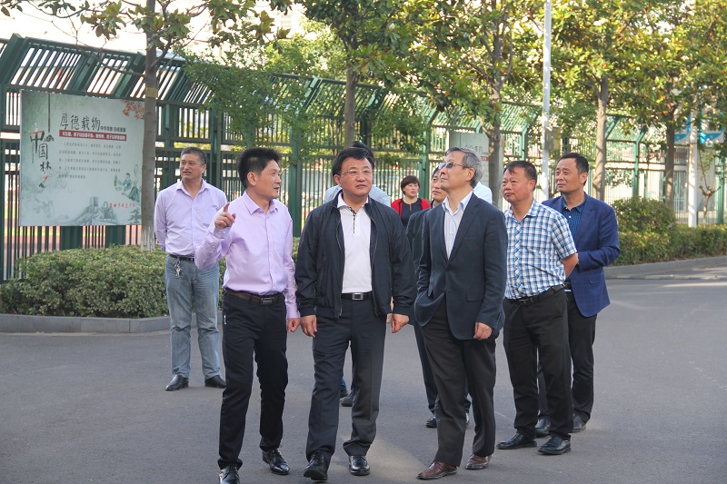 江苏省人民政府教育督导组专家一行莅临我校检查指导