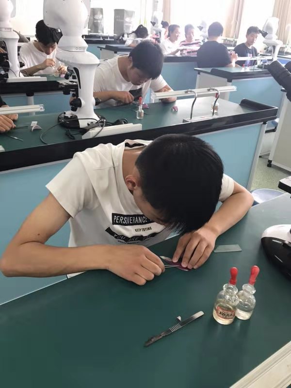 孩子，这里才是你们快乐度假的乐园