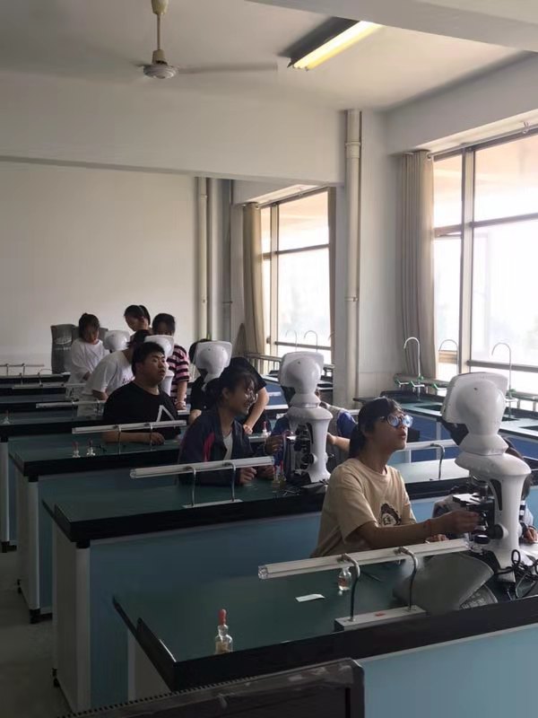 孩子，这里才是你们快乐度假的乐园