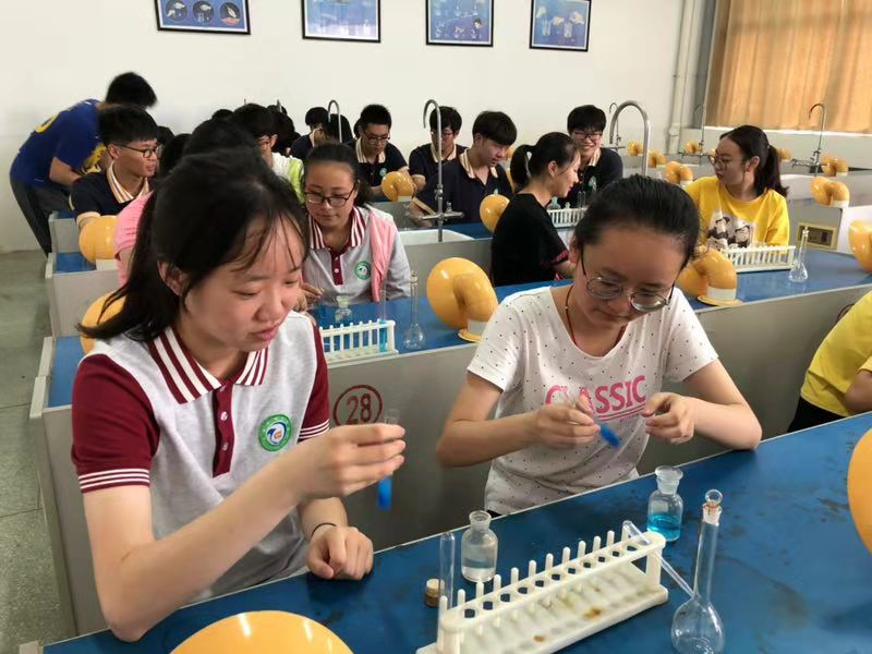 孩子，这里才是你们快乐度假的乐园