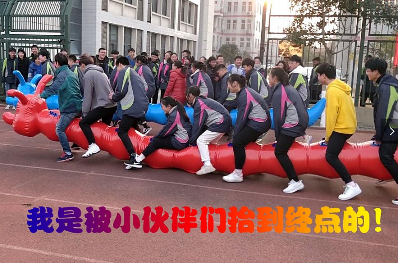 第28届文化艺术节|“健行天地•健康你我”阳光体育系列活动