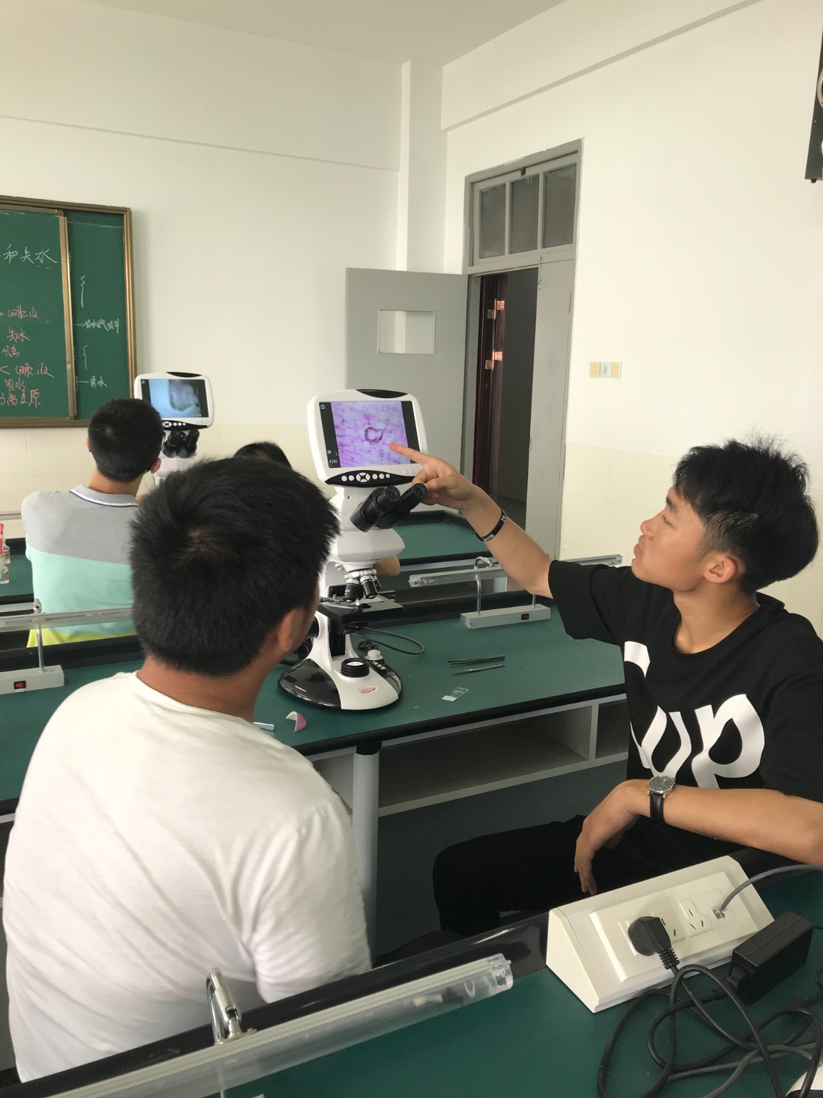 实验让我们很快乐：生物实验
