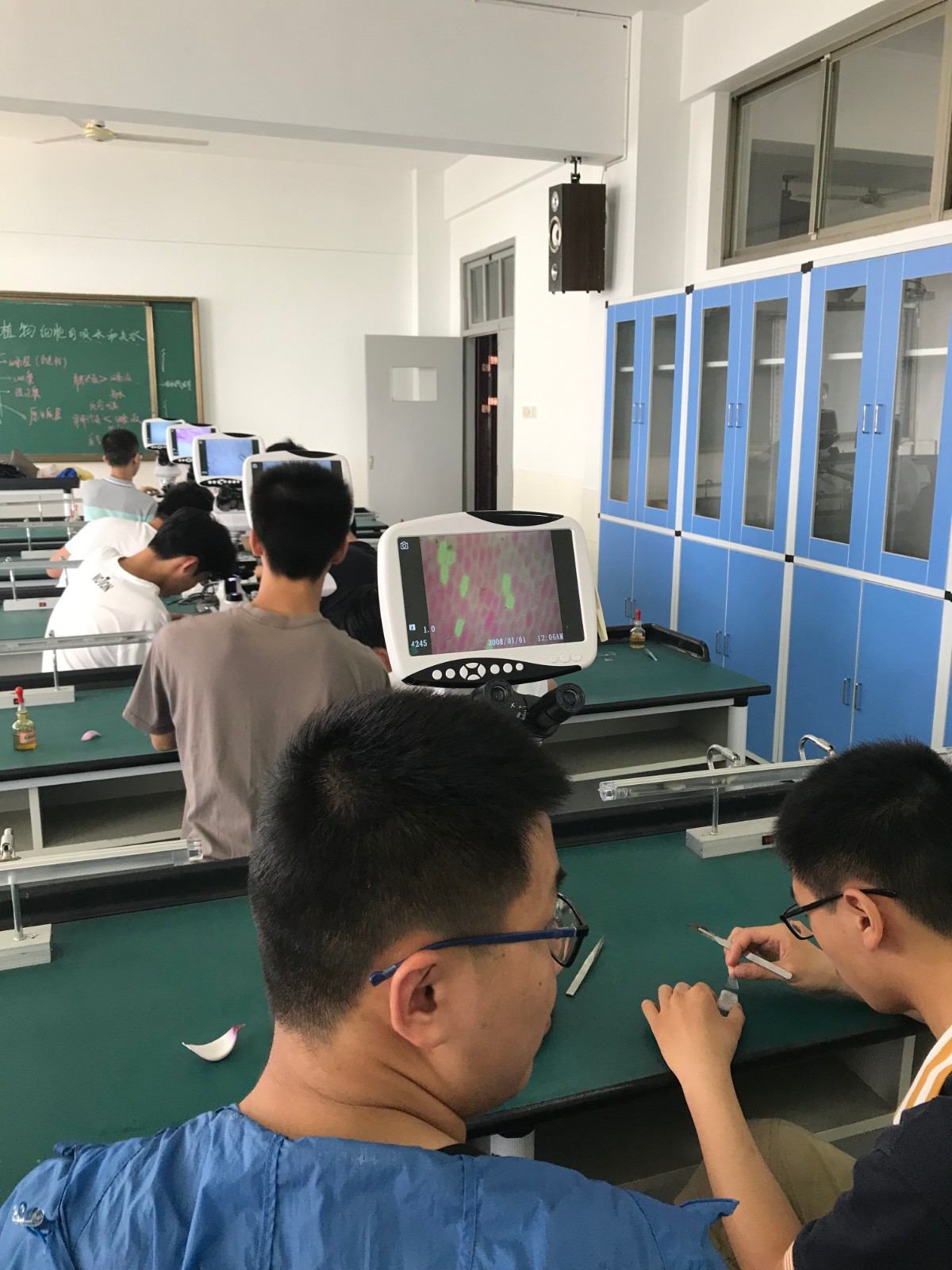 实验让我们很快乐：生物实验
