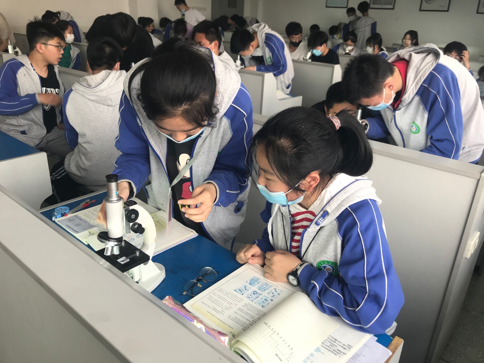 实验让我们很快乐：生物实验