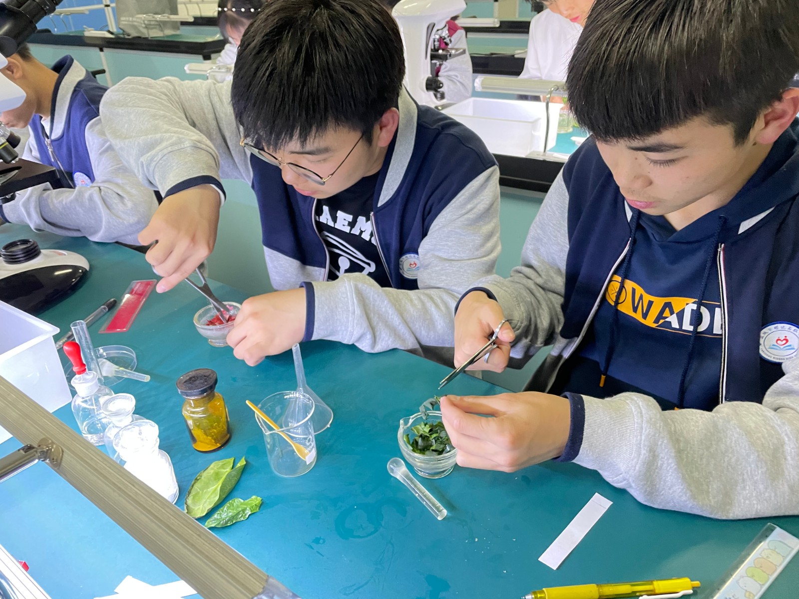 实验让我们很快乐：生物实验