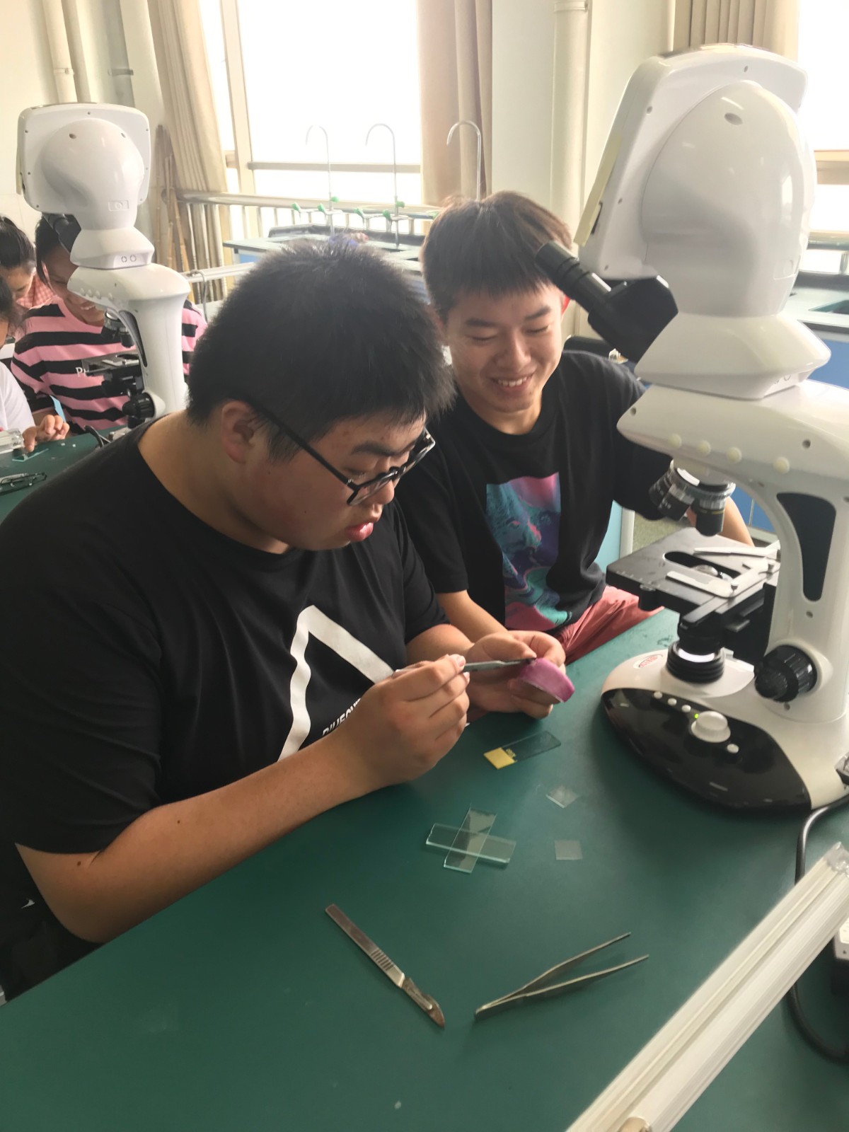 实验让我们很快乐：生物实验