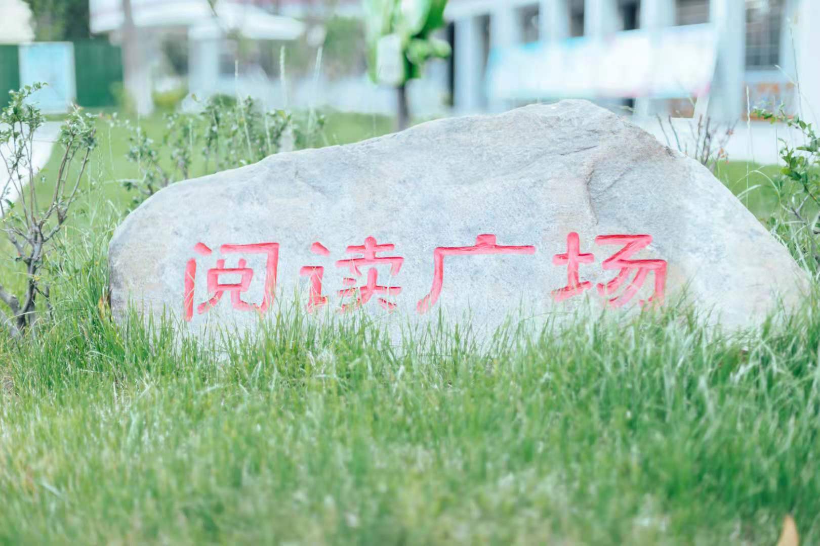 阅读让我们更睿智：阅读空间